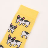 Chaussettes Bouledogue taille 35-44 - Coucou Suzette - Bleu Jolie Caen