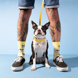 Chaussettes Bouledogue taille 35-44 - Coucou Suzette - Bleu Jolie Caen